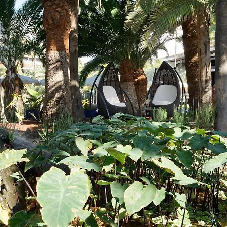 Szálloda Parque Tropical 4*