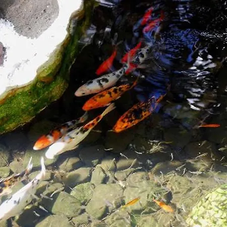 Parque Tropical Szálloda 4*