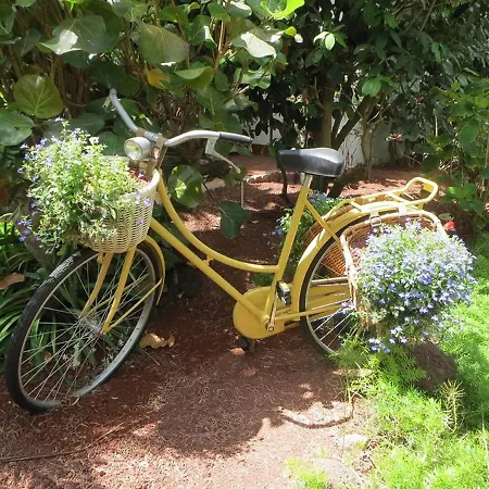 Parque Tropical Szálloda