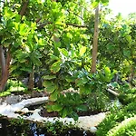 Parque Tropical 4*
