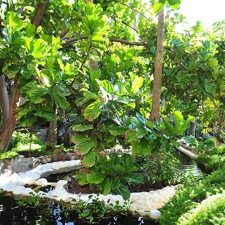 Parque Tropical Otel 4*
