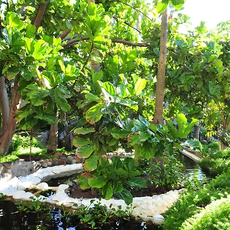 Parque Tropical 4*