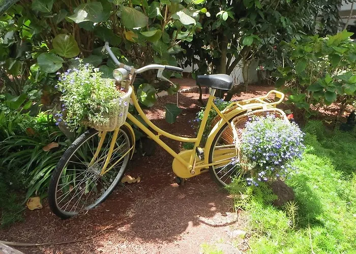 Parque Tropical Отель