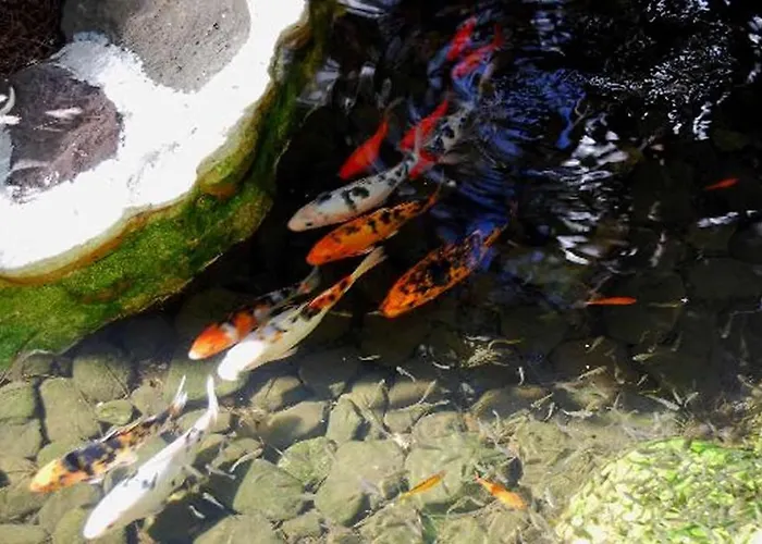 Parque Tropical Szálloda 4*